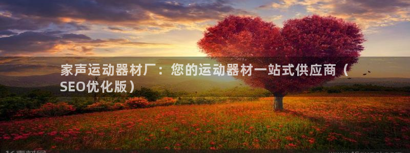 意昂3娱乐下载：家声运动器材厂：您的运动器材一站式供