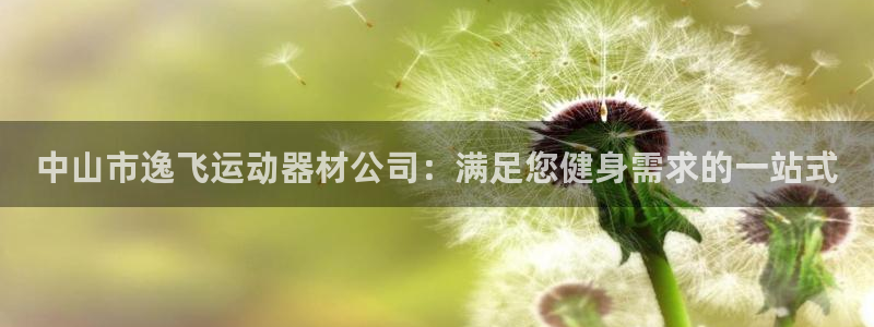 意昂体育3招商电话地址是多少：中山市逸飞运动器材公司