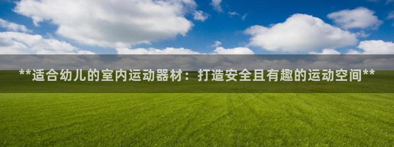 意昂体育3平台：**适合幼儿的室内运动器材：打造安全
