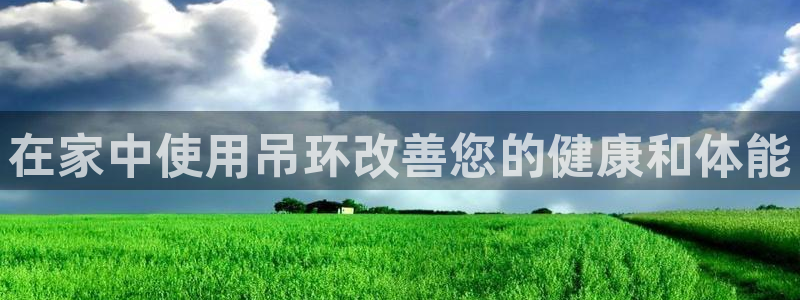 意昂体育3平台注册要钱吗安全吗：在家中使用吊环改善您