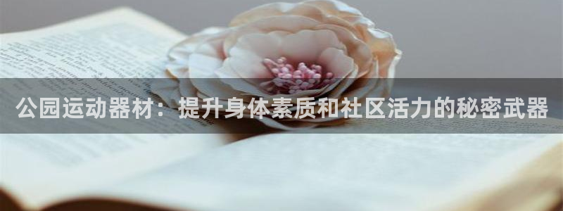 意昂3官网：公园运动器材：提升身体素质和社区活力的秘