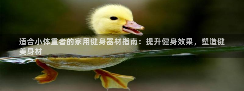 意昂3娱乐40996：适合小体重者的家用健身器材指南