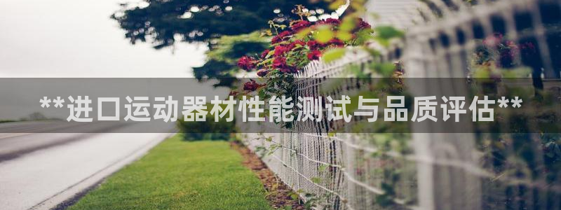 意昂体育3：**进口运动器材性能测试与品质评估**