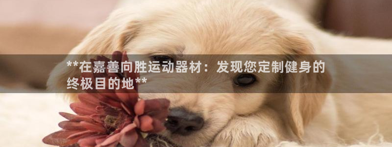 意昂体育3招商电话是多少号码：**在嘉善向胜运动器材