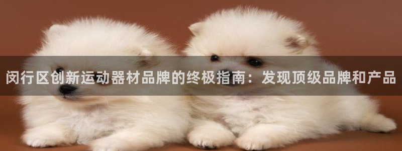 意昂平台体育：闵行区创新运动器材品牌的终极指南：发现