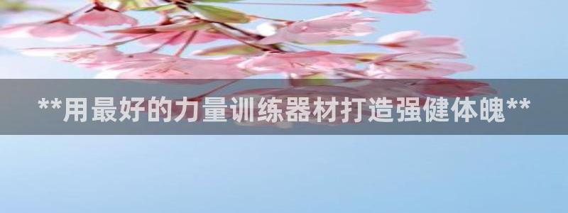 意昂体育3是干嘛的公司：**用最好的力量训练器材打造