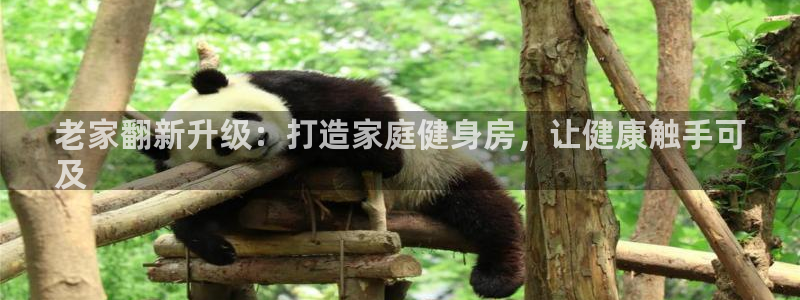 意昂体育3娱乐：老家翻新升级：打造家庭健身房，让健康