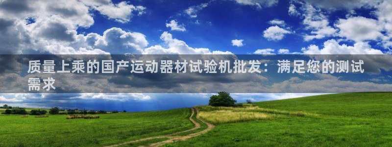 意昂体育3注册：质量上乘的国产运动器材试验机批发：满