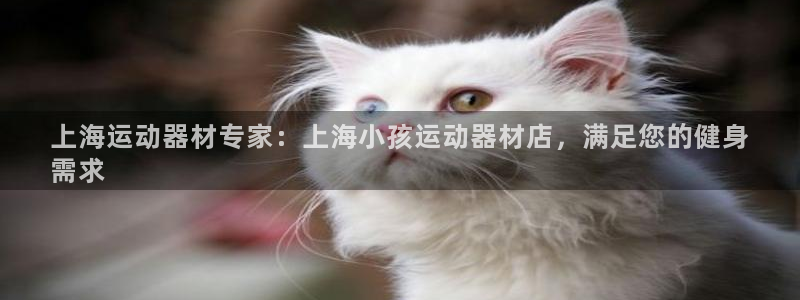 意昂3五金厂：上海运动器材专家：上海小孩运动器材店，