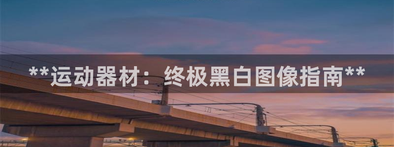 意昂3神州：**运动器材：终极黑白图像指南**