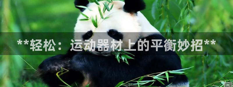 意昂3娱乐下载：**轻松：运动器材上的平衡妙招**