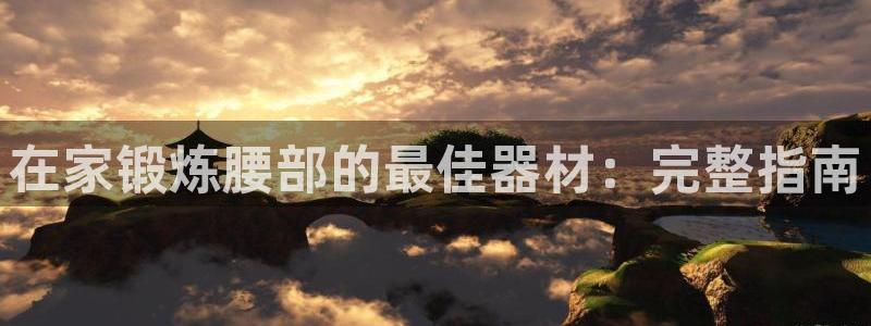 意昂3娱乐：在家锻炼腰部的最佳器材：完整指南