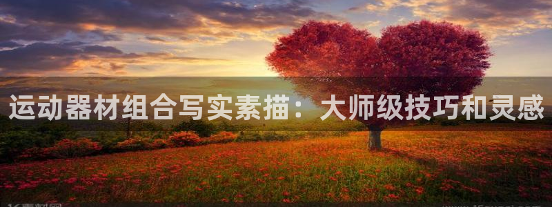 意昂体育3平台注册流程图：运动器材组合写实素描：大师