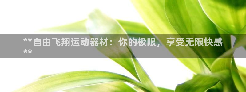 意昂3新能源：**自由飞翔运动器材：你的极限，享受无