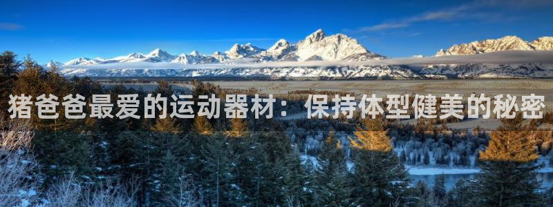 意昂3娱乐代理怎么样：猪爸爸最爱的运动器材：保持体型