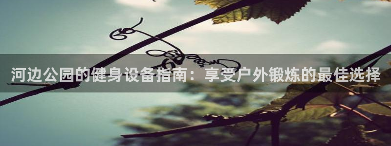 海南意昂体育3：河边公园的健身设备指南：享受户外锻炼