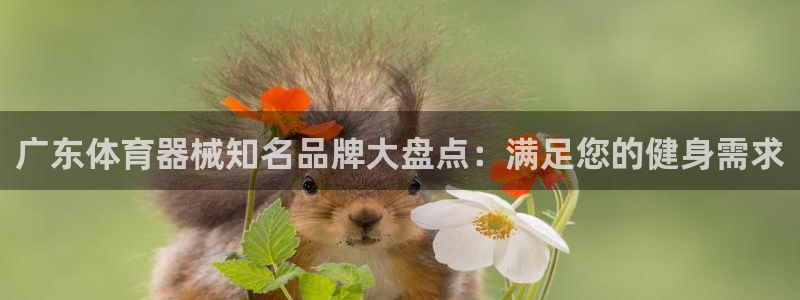 意昂体育3招商电话号码是多少啊：广东体育器械知名品牌