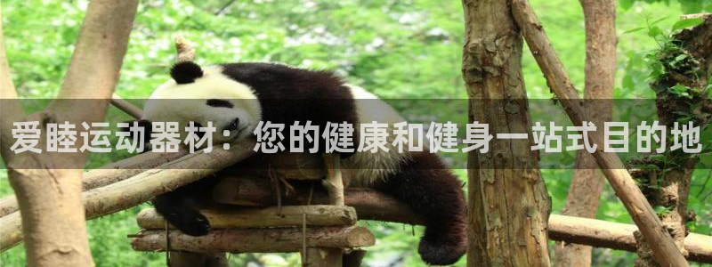 意昂体育3平台注册：爱睦运动器材：您的健康和健身一站