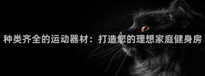 意昂3娱乐下载：种类齐全的运动器材：打造您的理想家庭