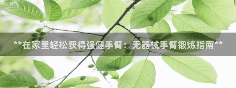 意昂3科技：**在家里轻松获得强健手臂：无器械手臂锻