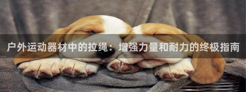 意昂3代理：户外运动器材中的拉绳：增强力量和耐力的终