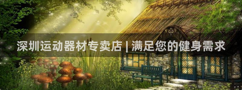 意昂体育3招商：深圳运动器材专卖店 | 满足您的健身