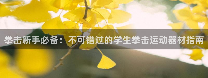 意昂3娱乐网站：拳击新手必备：不可错过的学生拳击运动