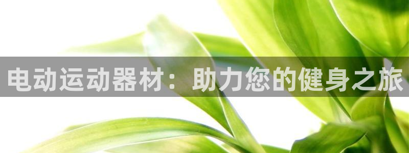 意昂3娱乐首页官网下载：电动运动器材：助力您的健身之