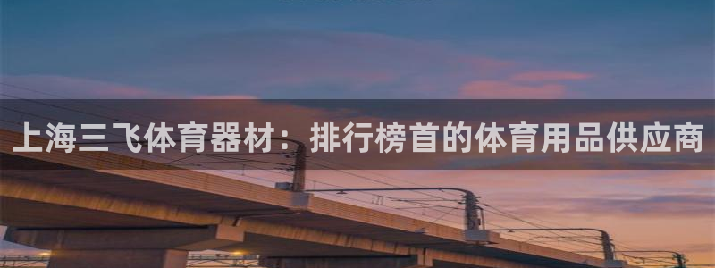 意昂3集团logo：上海三飞体育器材：排行榜首的体育