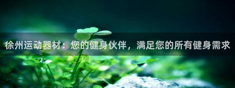 意昂体育3娱乐：徐州运动器材：您的健身伙伴，满足您的
