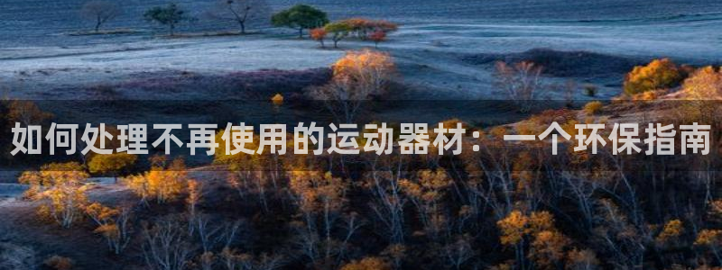 意昂3集团官网首页：如何处理不再使用的运动器材：一个