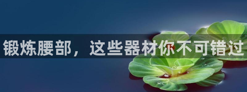 意昂体育3联系电话：锻炼腰部，这些器材你不可错过