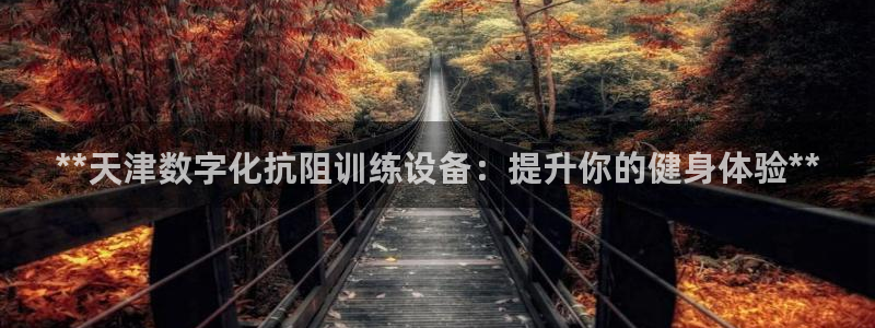 意昂3开户：**天津数字化抗阻训练设备：提升你的健身