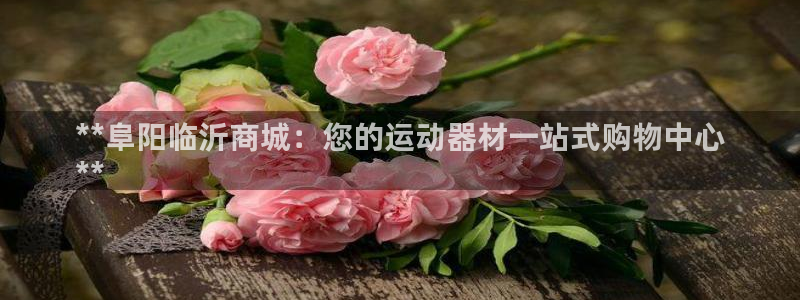 意昂体育3平台注册流程图：**阜阳临沂商城：您的运动