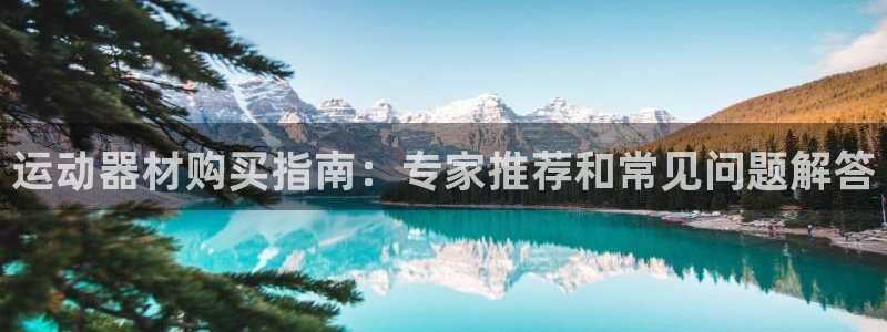 海南意昂体育3：运动器材购买指南：专家推荐和常见问题