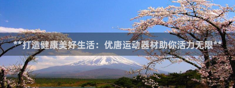 意昂3代理：**打造健康美好生活：优唐运动器材助你活