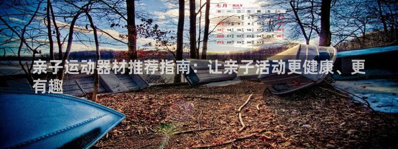 意昂体育3平台假的吗是真的吗吗：亲子运动器材推荐指南