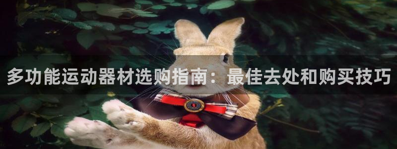 意昂体育3招商电话号码是多少：多功能运动器材选购指南