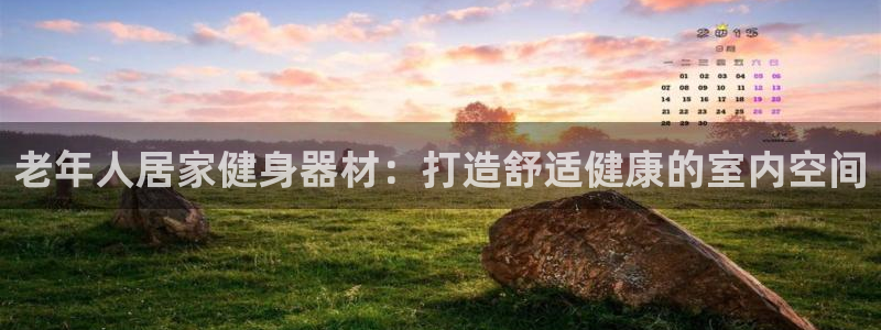 意昂3集团logo：老年人居家健身器材：打造舒适健康