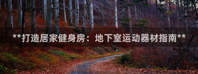 意昂体育3平台注册要钱吗：**打造居家健身房：地下室