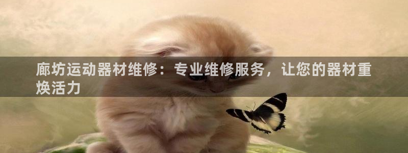 意昂3娱乐下载：廊坊运动器材维修：专业维修服务，让您