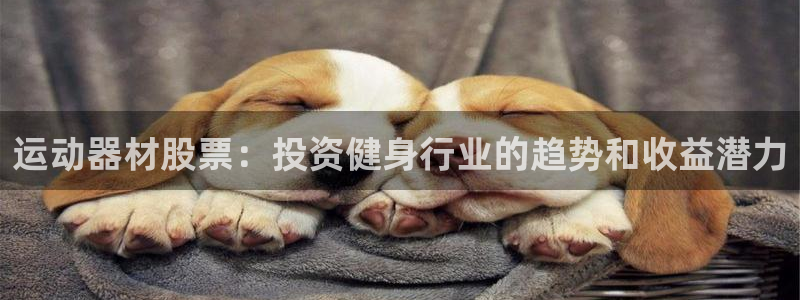 意昂体育3招商电话是多少：运动器材股票：投资健身行业