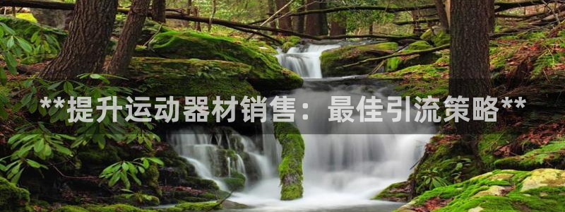 德国意昂3集团：**提升运动器材销售：最佳引流策略*