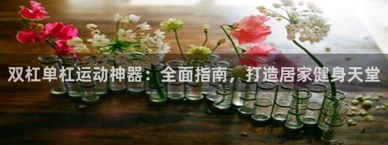 意昂体育3平台：双杠单杠运动神器：全面指南，打造居家