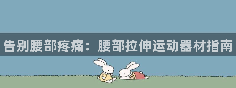 意昂体育3平台APP：告别腰部疼痛：腰部拉伸运动器材指南