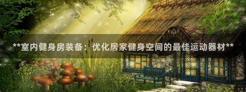 意昂3娱乐平台：**室内健身房装备：优化居家健身空间