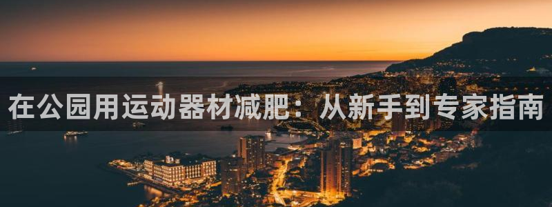 意昂体育3平台是正规平台吗安全吗：在公园用运动器材减