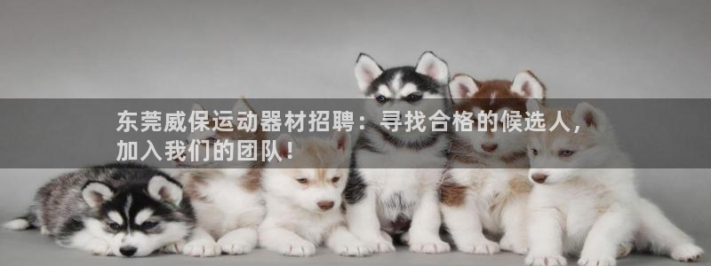 意昂3娱乐代理怎么样：东莞威保运动器材招聘：寻找合格