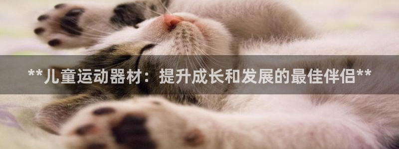 意昂3开户：**儿童运动器材：提升成长和发展的最佳伴