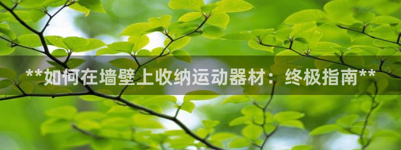 意昂体育3平台注册：**如何在墙壁上收纳运动器材：终